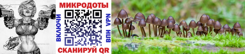 Псилоцибиновые грибы Psilocybe  блэк спрут маркетплейс  Харовск  цены  